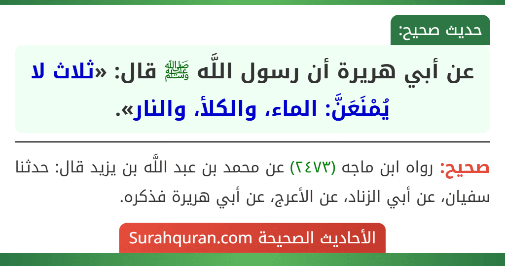عن أبي هريرة أن رسول اللَّه ﷺ قال: «ثلاث لا يُمْنَعَنَّ: الماء، والكلأ، والنار». عن أبي هريرة أن رسول اللَّه ﷺ قال: «ثلاث لا يُمْنَعَنَّ: الماء، والكلأ، والنار».
