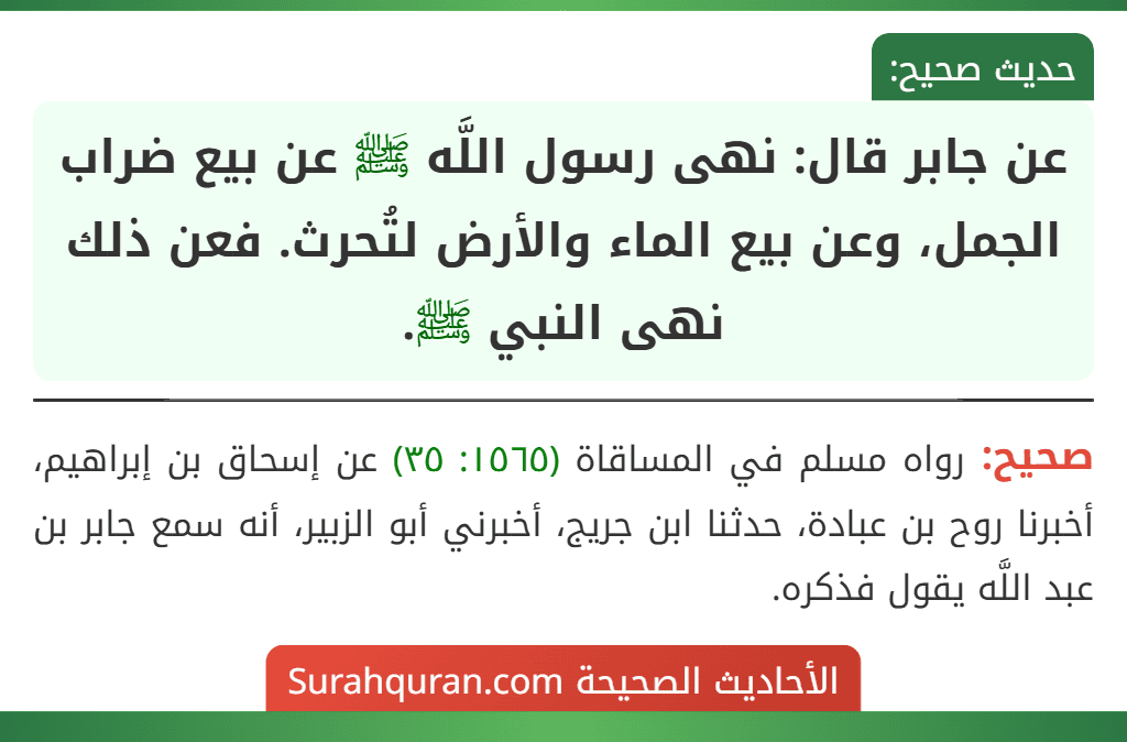 عن جابر قال: نهى رسول اللَّه ﷺ عن بيع ضراب الجمل، وعن بيع الماء والأرض لتُحرث. فعن ذلك نهى النبي ﷺ. عن جابر قال: نهى رسول اللَّه ﷺ عن بيع ضراب الجمل، وعن بيع الماء والأرض لتُحرث. فعن ذلك نهى النبي ﷺ.