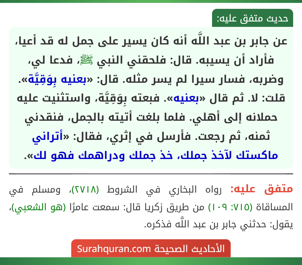 عن جابر بن عبد اللَّه أنه كان يسير على جمل له قد أعيا، فأراد أن يسيبه. قال: فلحقني النبي ﷺ، فدعا لي، وضربه، فسار سيرا لم يسر مثله. قال: «بعنيه بِوَقِيَّة». قلت: لا. ثم قال «بعنيه». فبعته بِوَقِيَّة، واستثنيت عليه حملانه إلى أهلي. فلما بلغت أتيته بالجمل، فنقدني ثمنه، ثم رجعت. فأرسل في إثري، فقال: «أتراني ماكستك لآخذ جملك، خذ جملك ودراهمك فهو لك».