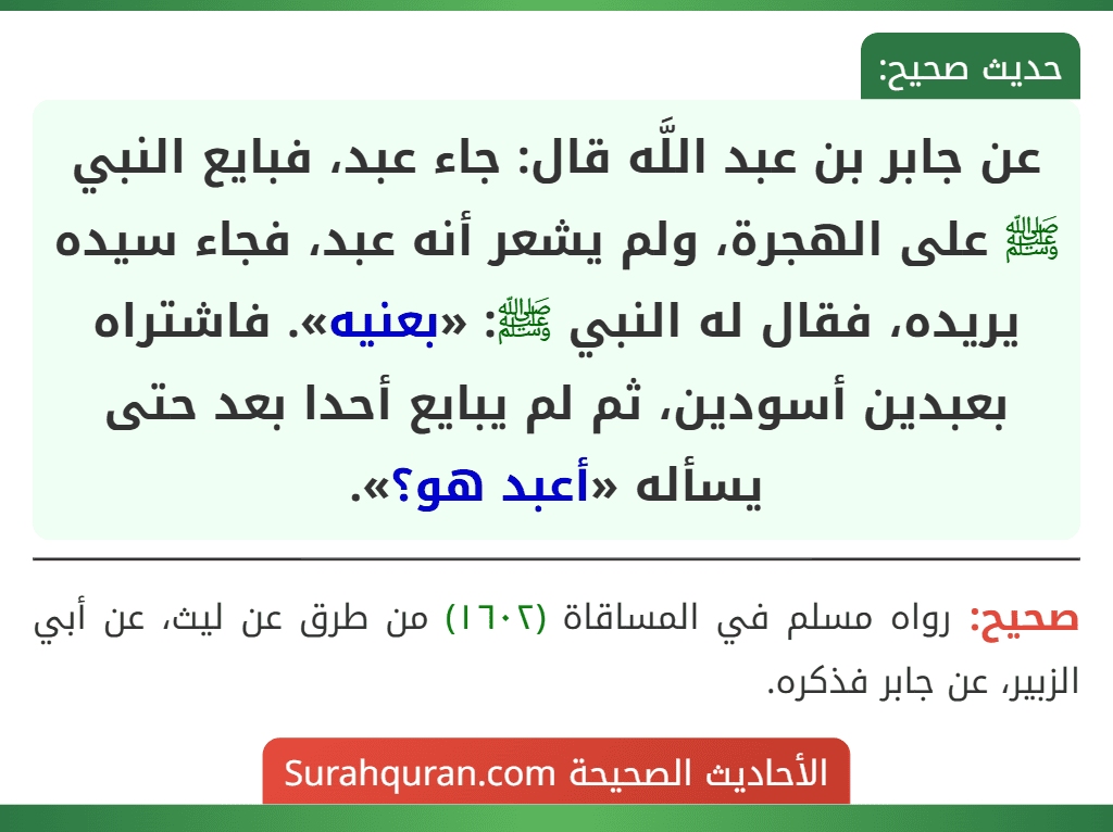 عن جابر بن عبد اللَّه قال: جاء عبد، فبايع النبي ﷺ على الهجرة، ولم يشعر أنه عبد، فجاء سيده يريده، فقال له النبي ﷺ: «بعنيه». فاشتراه بعبدين أسودين، ثم لم يبايع أحدا بعد حتى يسأله «أعبد هو؟».