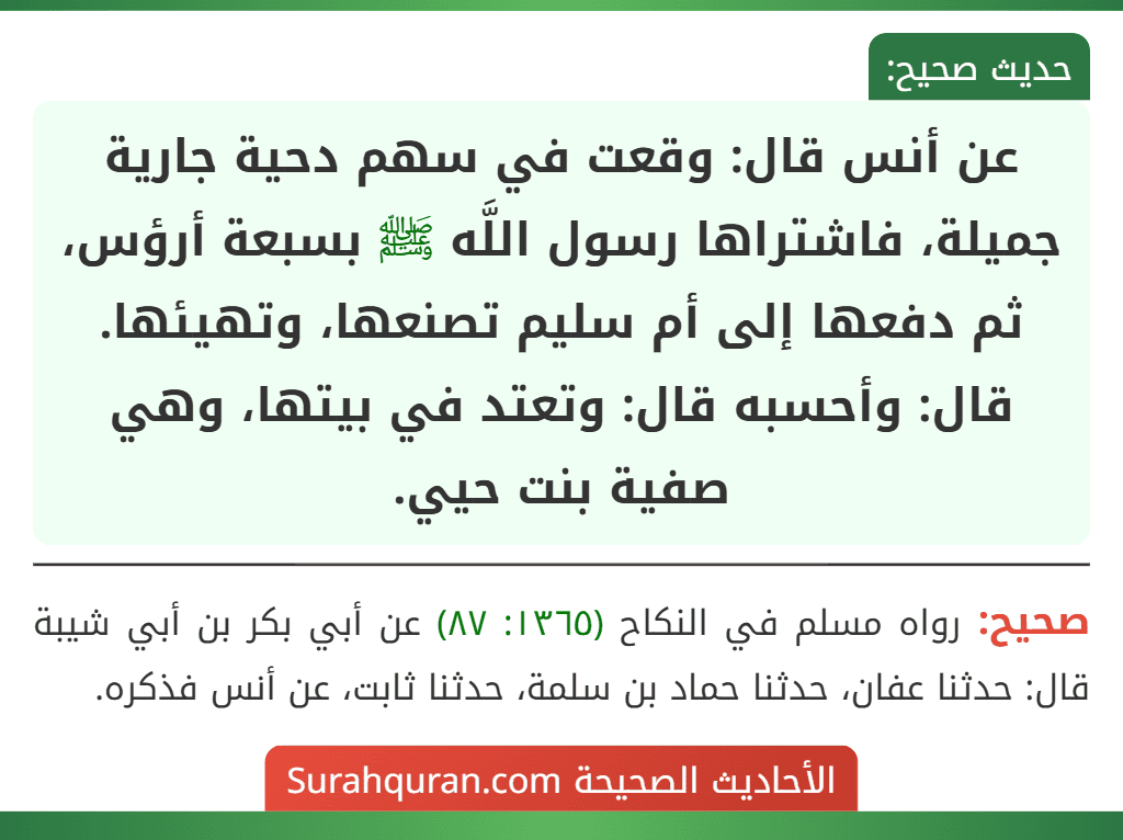 عن أنس قال: وقعت في سهم دحية جارية جميلة، فاشتراها رسول اللَّه ﷺ بسبعة أرؤس، ثم دفعها إلى أم سليم تصنعها، وتهيئها. قال: وأحسبه قال: وتعتد في بيتها، وهي صفية بنت حيي.