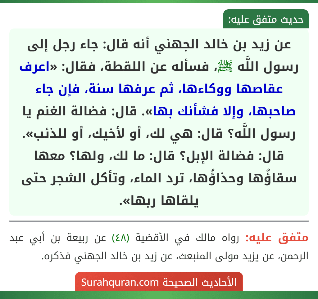 عن زيد بن خالد الجهني أنه قال: جاء رجل إلى رسول اللَّه ﷺ، فسأله عن اللقطة، فقال: «اعرف عقاصها ووكاءها، ثم عرفها سنة، فإن جاء صاحبها، وإلا فشأنك بها». قال: فضالة الغنم يا رسول اللَّه؟ قال: هي لك، أو لأخيك، أو للذئب». قال: فضالة الإبل؟ قال: ما لك، ولها؟ معها سقاؤُها وحذاؤُها، ترد الماء، وتأكل الشجر حتى يلقاها ربها». عن زيد بن خالد الجهني أنه قال: جاء رجل إلى رسول اللَّه ﷺ، فسأله عن اللقطة، فقال: «اعرف عقاصها ووكاءها، ثم عرفها سنة، فإن جاء صاحبها، وإلا فشأنك بها». قال: فضالة الغنم يا رسول اللَّه؟ قال: هي لك، أو لأخيك، أو للذئب». قال: فضالة الإبل؟ قال: ما لك، ولها؟ معها سقاؤُها وحذاؤُها، ترد الماء، وتأكل الشجر حتى يلقاها ربها».