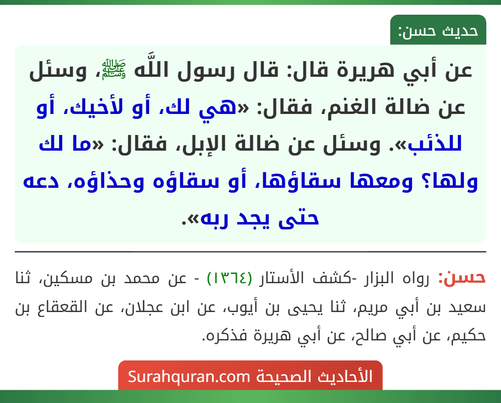 عن أبي هريرة قال: قال رسول اللَّه ﷺ، وسئل عن ضالة الغنم، فقال: «هي لك، أو لأخيك، أو للذئب». وسئل عن ضالة الإبل، فقال: «ما لك ولها؟ ومعها سقاؤها، أو سقاؤه وحذاؤه، دعه حتى يجد ربه».
