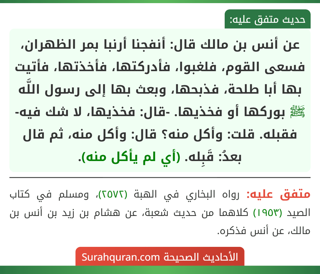 عن أنس بن مالك قال: أنفجنا أرنبا بمر الظهران، فسعى القوم، فلغبوا، فأدركتها، فأخذتها، فأتيت بها أبا طلحة، فذبحها، وبعث بها إلى رسول اللَّه ﷺ بوركها أو فخذيها. -قال: فخذيها، لا شك فيه- فقبله. قلت: وأكل منه؟ قال: وأكل منه، ثم قال بعدُ: قَبِله. (أي لم يأكل منه).