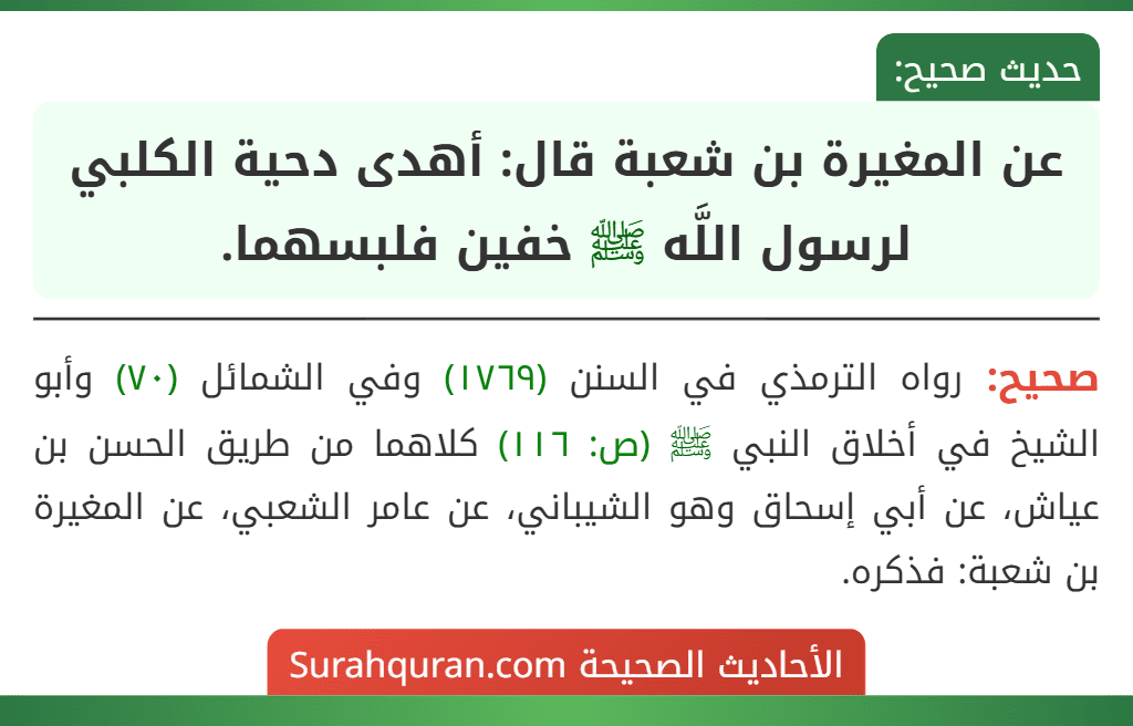 عن المغيرة بن شعبة قال: أهدى دحية الكلبي لرسول اللَّه ﷺ خفين فلبسهما. عن المغيرة بن شعبة قال: أهدى دحية الكلبي لرسول اللَّه ﷺ خفين فلبسهما.