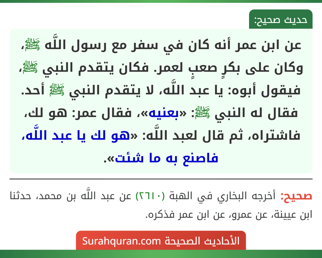 عن ابن عمر أنه كان في سفر مع رسول اللَّه ﷺ، وكان على بكرٍ صعبٍ لعمر. فكان يتقدم النبي ﷺ، فيقول أبوه: يا عبد اللَّه، لا يتقدم النبي ﷺ أحد. فقال له النبي ﷺ: «بعنيه»، فقال عمر: هو لك، فاشتراه، ثم قال لعبد اللَّه: «هو لك يا عبد اللَّه، فاصنع به ما شئت». عن ابن عمر أنه كان في سفر مع رسول اللَّه ﷺ، وكان على بكرٍ صعبٍ لعمر. فكان يتقدم النبي ﷺ، فيقول أبوه: يا عبد اللَّه، لا يتقدم النبي ﷺ أحد. فقال له النبي ﷺ: «بعنيه»، فقال عمر: هو لك، فاشتراه، ثم قال لعبد اللَّه: «هو لك يا عبد اللَّه، فاصنع به ما شئت».