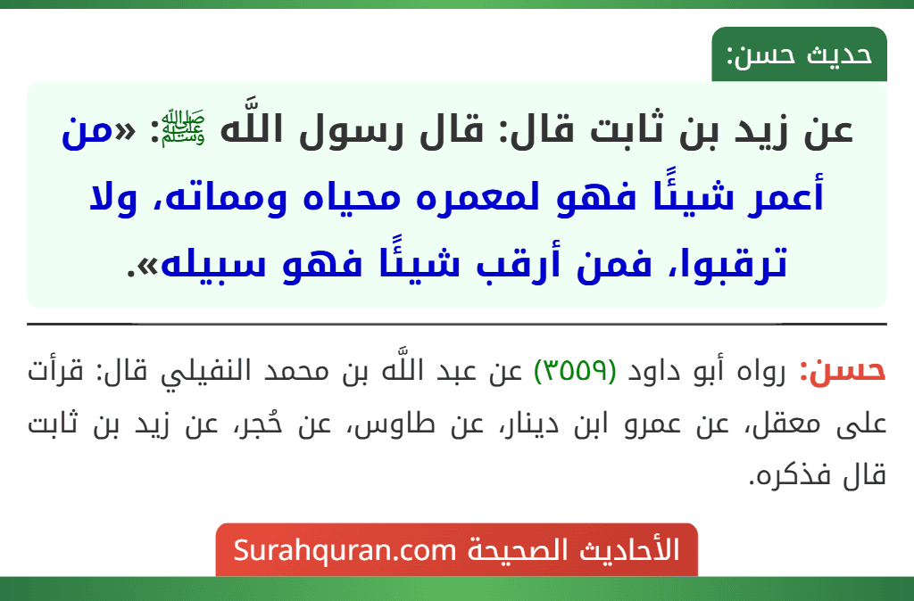 عن زيد بن ثابت قال: قال رسول اللَّه ﷺ: «من أعمر شيئًا فهو لمعمره محياه ومماته، ولا ترقبوا، فمن أرقب شيئًا فهو سبيله».