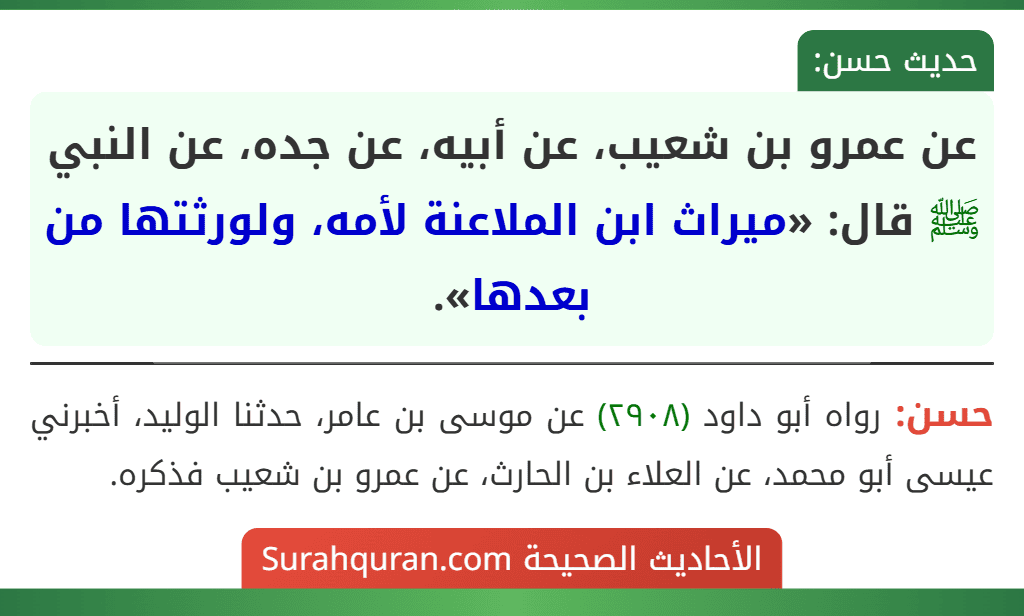 عن عمرو بن شعيب، عن أبيه، عن جده، عن النبي ﷺ قال: «ميراث ابن الملاعنة لأمه، ولورثتها من بعدها».