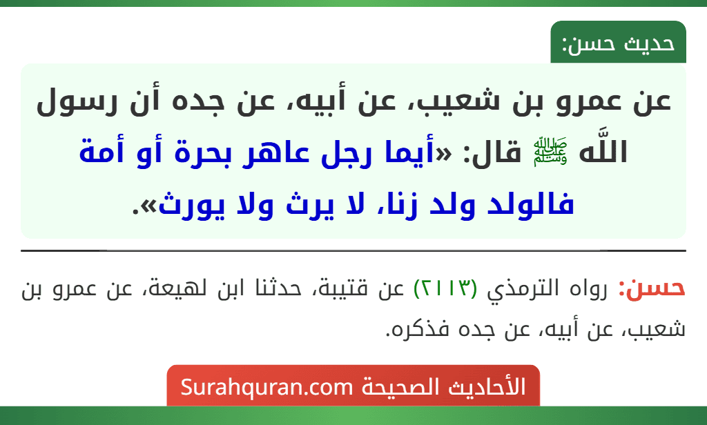 عن عمرو بن شعيب، عن أبيه، عن جده أن رسول اللَّه ﷺ قال: «أيما رجل عاهر بحرة أو أمة فالولد ولد زنا، لا يرث ولا يورث».