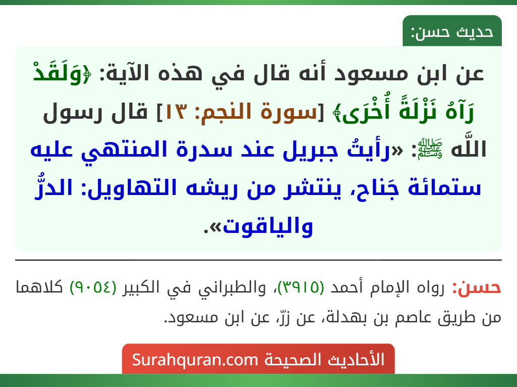عن ابن مسعود أنه قال في هذه الآية: ﴿وَلَقَدْ رَآهُ نَزْلَةً أُخْرَى﴾ [سورة النجم: ١٣] قال رسول اللَّه ﷺ: «رأيتُ جبريل عند سدرة المنتهي عليه ستمائة جَناح، ينتشر من ريشه التهاويل: الدرُّ والياقوت».