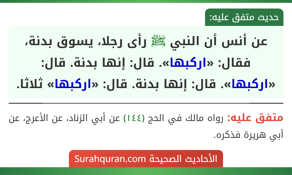 عن أنس أن النبي ﷺ رأى رجلا، يسوق بدنة، فقال: «اركبها». قال: إنها بدنة. قال: «اركبها». قال: إنها بدنة. قال: «اركبها» ثلاثا. عن أنس أن النبي ﷺ رأى رجلا، يسوق بدنة، فقال: «اركبها». قال: إنها بدنة. قال: «اركبها». قال: إنها بدنة. قال: «اركبها» ثلاثا.