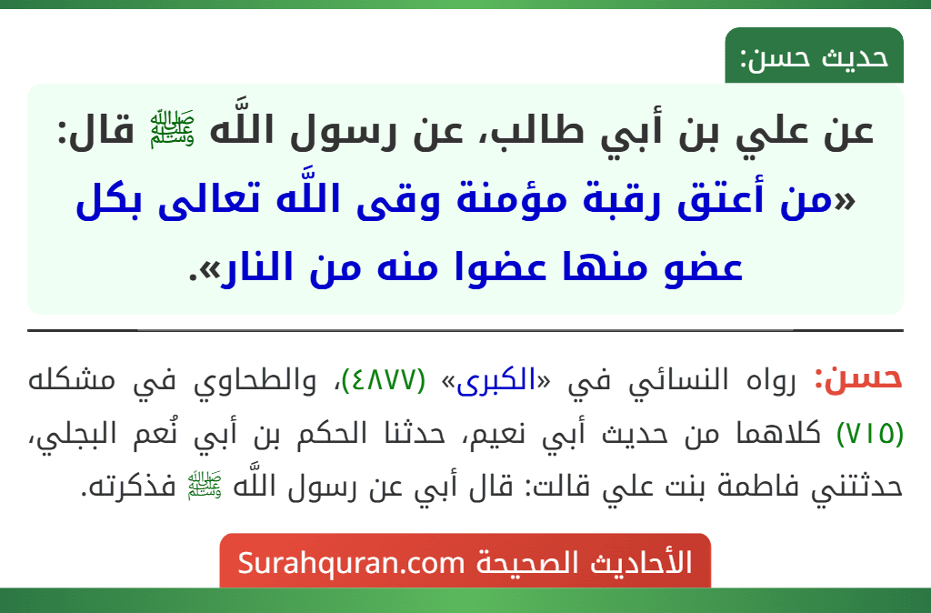 عن علي بن أبي طالب، عن رسول اللَّه ﷺ قال: «من أعتق رقبة مؤمنة وقى اللَّه تعالى بكل عضو منها عضوا منه من النار».