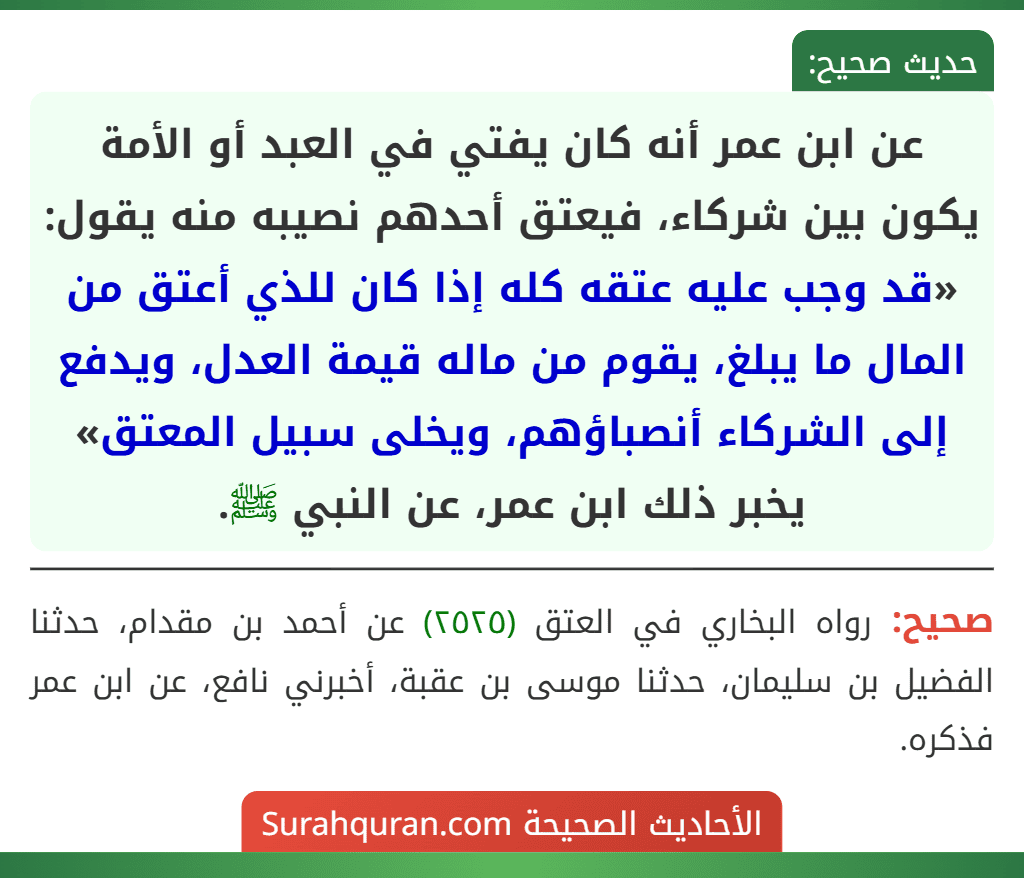 عن ابن عمر أنه كان يفتي في العبد أو الأمة يكون بين شركاء، فيعتق أحدهم نصيبه منه يقول: «قد وجب عليه عتقه كله إذا كان للذي أعتق من المال ما يبلغ، يقوم من ماله قيمة العدل، ويدفع إلى الشركاء أنصباؤهم، ويخلى سبيل المعتق» يخبر ذلك ابن عمر، عن النبي ﷺ.