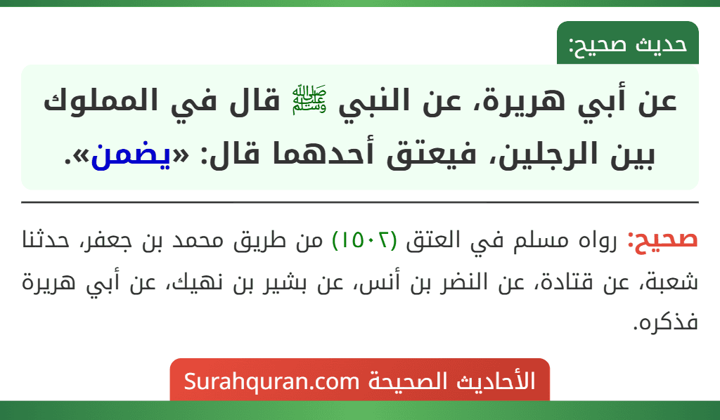 عن أبي هريرة، عن النبي ﷺ قال في المملوك بين الرجلين، فيعتق أحدهما قال: «يضمن».