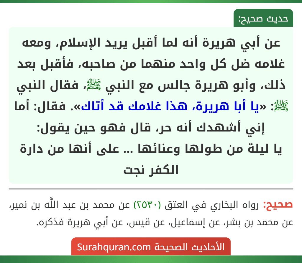عن أبي هريرة أنه لما أقبل يريد الإسلام، ومعه غلامه ضل كل واحد منهما من صاحبه، فأقبل بعد ذلك، وأبو هريرة جالس مع النبي ﷺ، فقال النبي ﷺ: «يا أبا هريرة، هذا غلامك قد أتاك». فقال: أما إني أشهدك أنه حر، قال فهو حين يقول:
يا ليلة من طولها وعنائها ... على أنها من دارة الكفر نجت