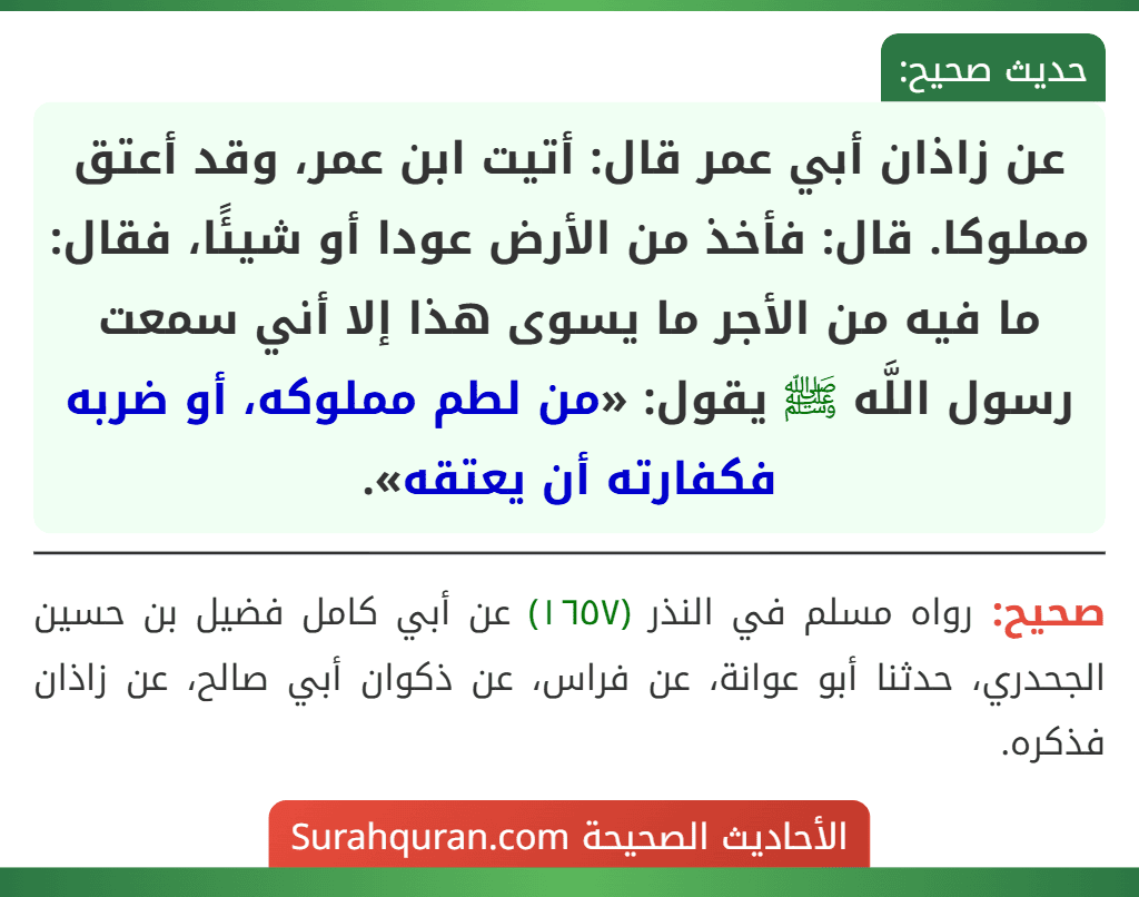عن زاذان أبي عمر قال: أتيت ابن عمر، وقد أعتق مملوكا. قال: فأخذ من الأرض عودا أو شيئًا، فقال: ما فيه من الأجر ما يسوى هذا إلا أني سمعت رسول اللَّه ﷺ يقول: «من لطم مملوكه، أو ضربه فكفارته أن يعتقه».