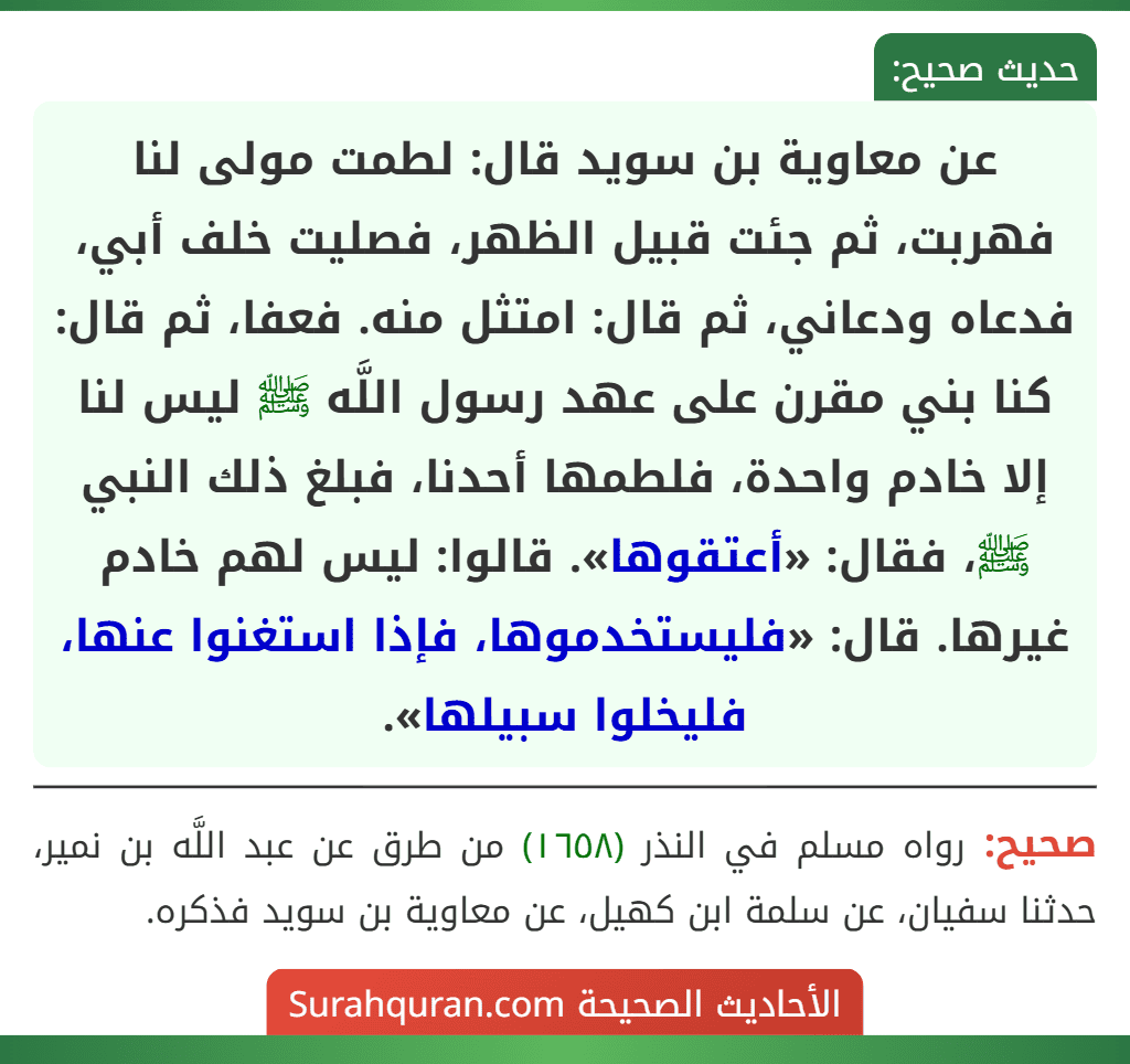 عن معاوية بن سويد قال: لطمت مولى لنا فهربت، ثم جئت قبيل الظهر، فصليت خلف أبي، فدعاه ودعاني، ثم قال: امتثل منه. فعفا، ثم قال: كنا بني مقرن على عهد رسول اللَّه ﷺ ليس لنا إلا خادم واحدة، فلطمها أحدنا، فبلغ ذلك النبي ﷺ، فقال: «أعتقوها». قالوا: ليس لهم خادم غيرها. قال: «فليستخدموها، فإذا استغنوا عنها، فليخلوا سبيلها».