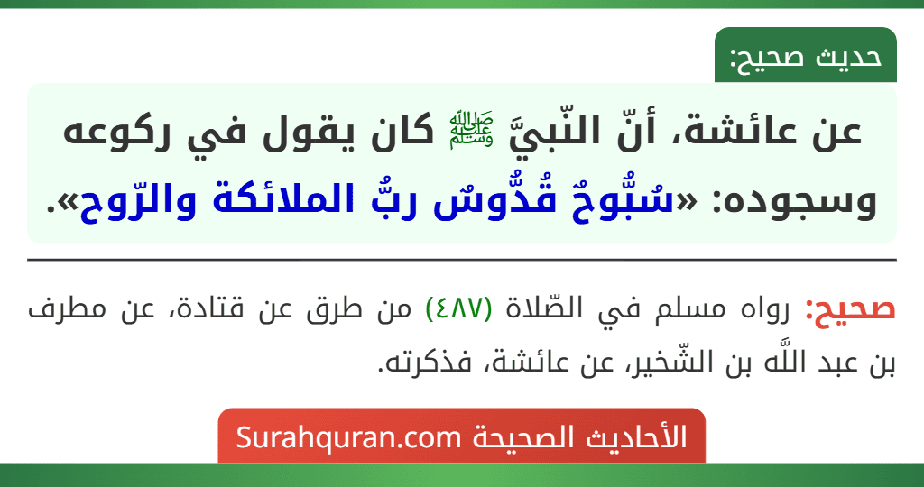 عن عائشة، أنّ النّبيَّ ﷺ كان يقول في ركوعه وسجوده: «سُبُّوحٌ قُدُّوسٌ ربُّ الملائكة والرّوح».