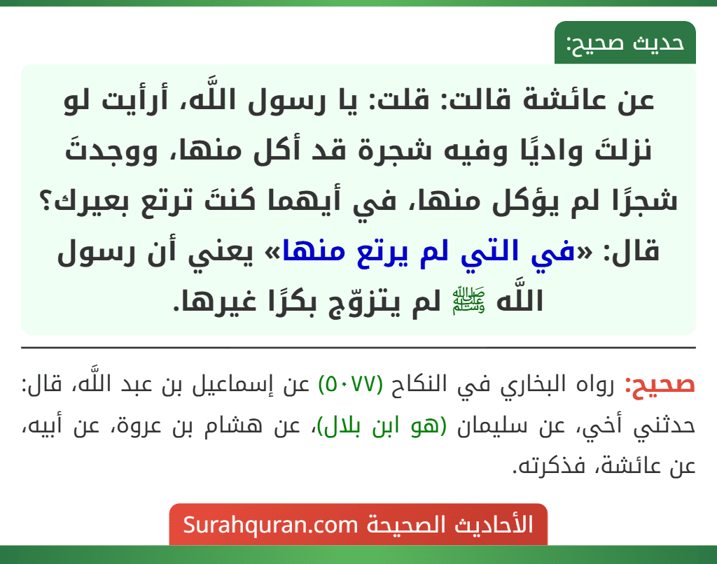 عن عائشة قالت: قلت: يا رسول اللَّه، أرأيت لو نزلتَ واديًا وفيه شجرة قد أكل منها، ووجدتَ شجرًا لم يؤكل منها، في أيهما كنتَ ترتع بعيرك؟ قال: «في التي لم يرتع منها» يعني أن رسول اللَّه ﷺ لم يتزوّج بكرًا غيرها. عن عائشة قالت: قلت: يا رسول اللَّه، أرأيت لو نزلتَ واديًا وفيه شجرة قد أكل منها، ووجدتَ شجرًا لم يؤكل منها، في أيهما كنتَ ترتع بعيرك؟ قال: «في التي لم يرتع منها» يعني أن رسول اللَّه ﷺ لم يتزوّج بكرًا غيرها.