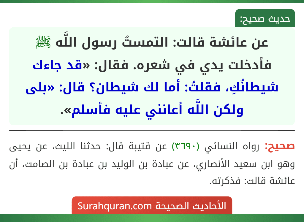 عن عائشة قالت: التمستُ رسول اللَّه ﷺ فأدخلت يدي في شعره. فقال: «قد جاءك شيطانُكِ، فقلتُ: أما لك شيطان؟ قال: «بلى ولكن اللَّه أعانني عليه فأسلم».