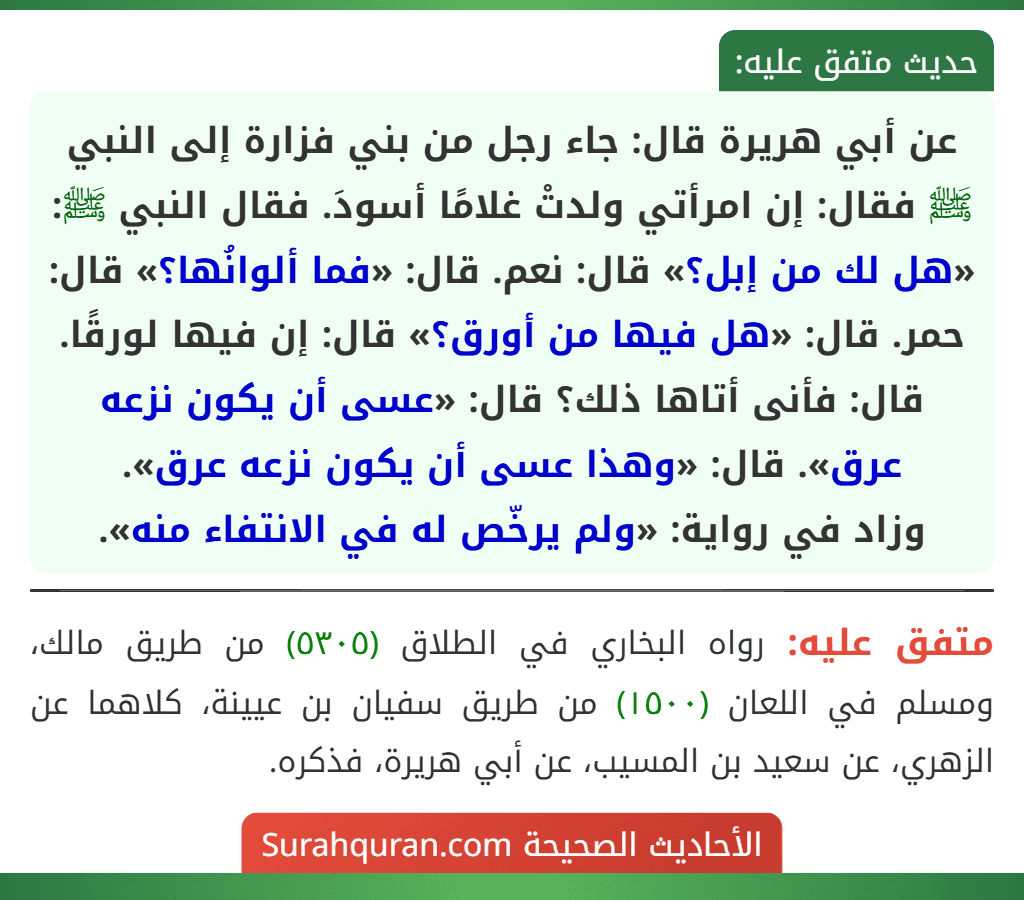 عن أبي هريرة قال: جاء رجل من بني فزارة إلى النبي ﷺ فقال: إن امرأتي ولدتْ غلامًا أسودَ. فقال النبي ﷺ: «هل لك من إبل؟» قال: نعم. قال: «فما ألوانُها؟» قال: حمر. قال: «هل فيها من أورق؟» قال: إن فيها لورقًا. قال: فأنى أتاها ذلك؟ قال: «عسى أن يكون نزعه عرق». قال: «وهذا عسى أن يكون نزعه عرق».
وزاد في رواية: «ولم يرخّص له في الانتفاء منه».