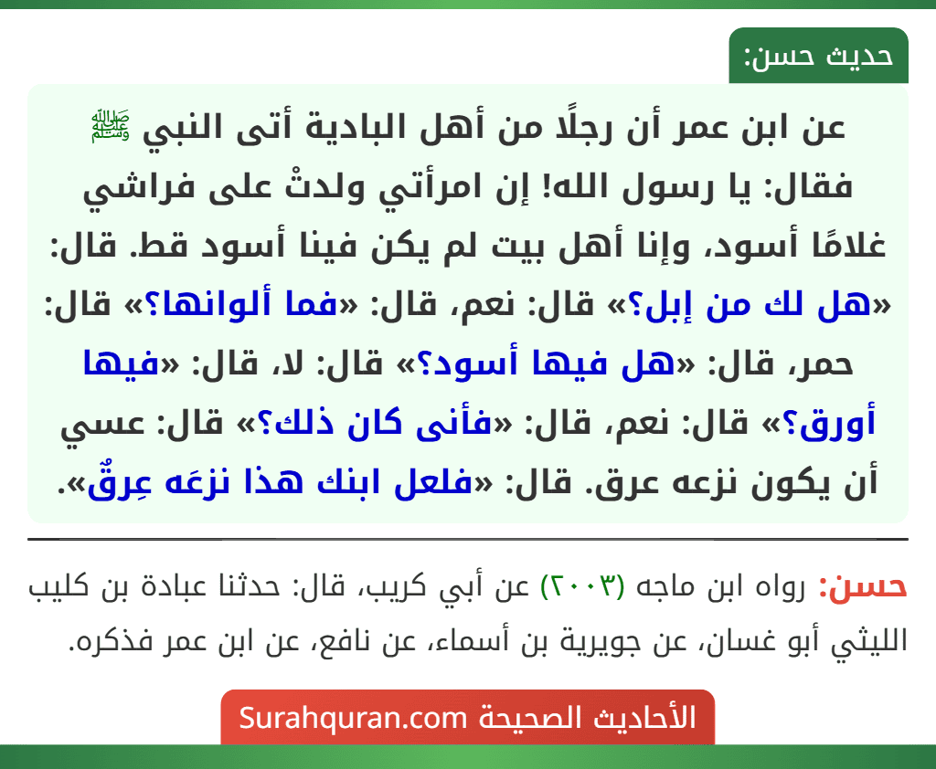 عن ابن عمر أن رجلًا من أهل البادية أتى النبي ﷺ فقال: يا رسول الله! إن امرأتي ولدتْ على فراشي غلامًا أسود، وإنا أهل بيت لم يكن فينا أسود قط. قال: «هل لك من إبل؟» قال: نعم، قال: «فما ألوانها؟» قال: حمر، قال: «هل فيها أسود؟» قال: لا، قال: «فيها أورق؟» قال: نعم، قال: «فأنى كان ذلك؟» قال: عسي أن يكون نزعه عرق. قال: «فلعل ابنك هذا نزعَه عِرقٌ». عن ابن عمر أن رجلًا من أهل البادية أتى النبي ﷺ فقال: يا رسول الله! إن امرأتي ولدتْ على فراشي غلامًا أسود، وإنا أهل بيت لم يكن فينا أسود قط. قال: «هل لك من إبل؟» قال: نعم، قال: «فما ألوانها؟» قال: حمر، قال: «هل فيها أسود؟» قال: لا، قال: «فيها أورق؟» قال: نعم، قال: «فأنى كان ذلك؟» قال: عسي أن يكون نزعه عرق. قال: «فلعل ابنك هذا نزعَه عِرقٌ».