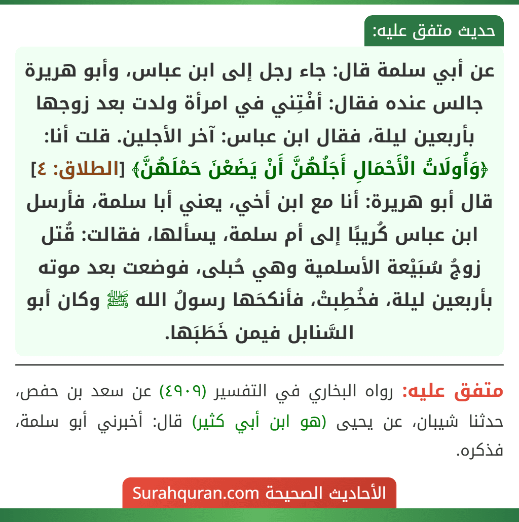 عن أبي سلمة قال: جاء رجل إلى ابن عباس، وأبو هريرة جالس عنده فقال: أفْتِني في امرأة ولدت بعد زوجها بأربعين ليلة، فقال ابن عباس: آخر الأجلين. قلت أنا: ﴿وَأُولَاتُ الْأَحْمَالِ أَجَلُهُنَّ أَنْ يَضَعْنَ حَمْلَهُنَّ﴾ [الطلاق: ٤] قال أبو هريرة: أنا مع ابن أخي، يعني أبا سلمة، فأرسل ابن عباس كُريبًا إلى أم سلمة، يسألها، فقالت: قُتل زوجُ سُبَيْعة الأسلمية وهي حُبلى، فوضعت بعد موته بأربعين ليلة، فخُطِبتْ، فأنكحَها رسولُ الله ﷺ وكان أبو السَّنابل فيمن خَطَبَها.