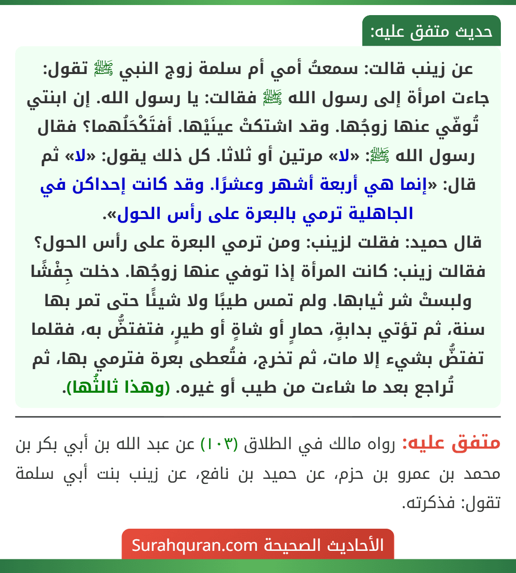 عن زينب قالت: سمعتُ أمي أم سلمة زوج النبي ﷺ تقول: جاءت امرأة إلى رسول الله ﷺ فقالت: يا رسول الله. إن ابنتي تُوفّي عنها زوجُها. وقد اشتكتْ عينَيْها. أفتَكْحَلُهما؟ فقال رسول الله ﷺ: «لا» مرتين أو ثلاثا. كل ذلك يقول: «لا» ثم قال: «إنما هي أربعة أشهر وعشرًا. وقد كانت إحداكن في الجاهلية ترمي بالبعرة على رأس الحول».
قال حميد: فقلت لزينب: ومن ترمي البعرة على رأس الحول؟ فقالت زينب: كانت المرأة إذا توفي عنها زوجُها. دخلت جِفْشًا ولبستْ شر ثيابها. ولم تمس طيبًا ولا شيئًا حتى تمر بها سنة، ثم تؤتي بدابةٍ، حمارٍ أو شاةٍ أو طيرٍ، فتفتضُّ به، فقلما تفتضُّ بشيء إلا مات، ثم تخرج، فتُعطى بعرة فترمي بها، ثم تُراجع بعد ما شاءت من طيب أو غيره. (وهذا ثالثُها).