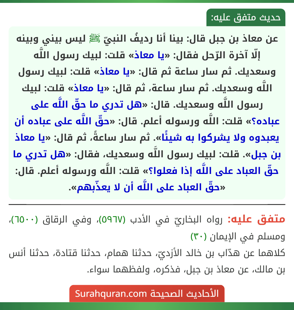 عن معاذ بن جبل قال: بينا أنا رديفُ النبيّ ﷺ ليس بيني وبينه إلّا آخرة الرّحل فقال: «يا معاذ» قلت: لبيك رسول اللَّه وسعديك. ثم سار ساعة ثم قال: «يا معاذ» قلت: لبيك رسول اللَّه وسعديك. ثم سار ساعة، ثم قال: «يا معاذ» قلت: لبيك رسول اللَّه وسعديك. قال: «هل تدري ما حقّ اللَّه على عباده؟» قلت: اللَّه ورسوله أعلم. قال: «حقّ اللَّه على عباده أن يعبدوه ولا يشركوا به شيئًا». ثم سار ساعةً، ثم قال: «يا معاذ بن جبل». قلت: لبيك رسول اللَّه وسعديك، فقال: «هل تدري ما حقّ العباد على اللَّه إذا فعلوا؟» قلت: اللَّه ورسوله أعلم. قال: «حقّ العباد على اللَّه أن لا يعذّبهم». عن معاذ بن جبل قال: بينا أنا رديفُ النبيّ ﷺ ليس بيني وبينه إلّا آخرة الرّحل فقال: «يا معاذ» قلت: لبيك رسول اللَّه وسعديك. ثم سار ساعة ثم قال: «يا معاذ» قلت: لبيك رسول اللَّه وسعديك. ثم سار ساعة، ثم قال: «يا معاذ» قلت: لبيك رسول اللَّه وسعديك. قال: «هل تدري ما حقّ اللَّه على عباده؟» قلت: اللَّه ورسوله أعلم. قال: «حقّ اللَّه على عباده أن يعبدوه ولا يشركوا به شيئًا». ثم سار ساعةً، ثم قال: «يا معاذ بن جبل». قلت: لبيك رسول اللَّه وسعديك، فقال: «هل تدري ما حقّ العباد على اللَّه إذا فعلوا؟» قلت: اللَّه ورسوله أعلم. قال: «حقّ العباد على اللَّه أن لا يعذّبهم».
