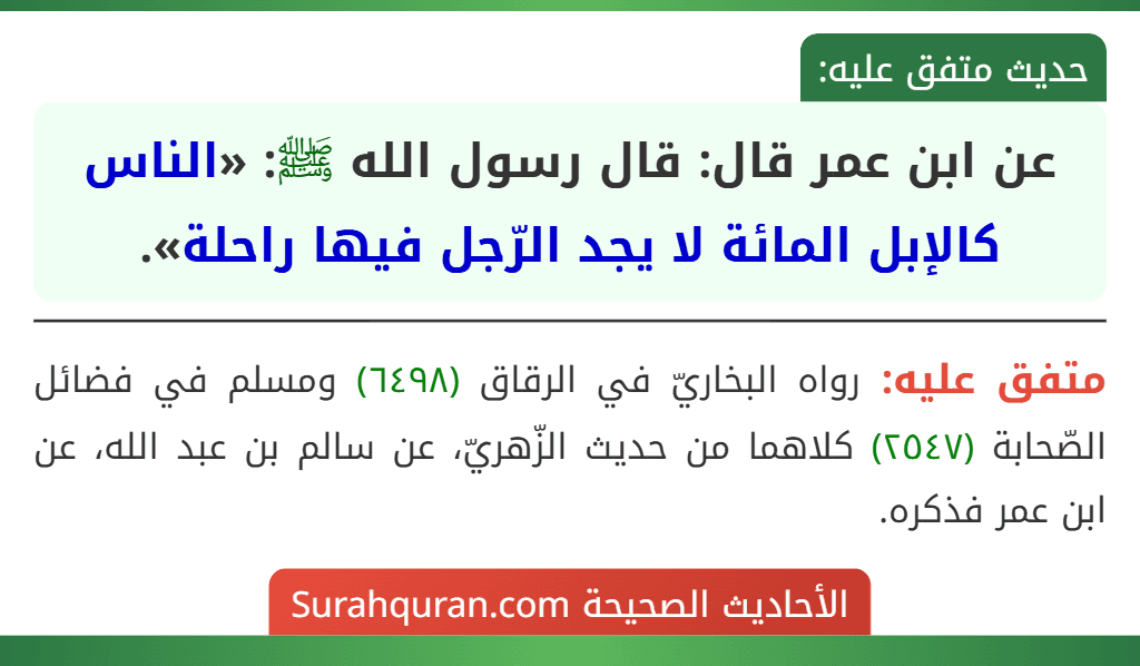عن ابن عمر قال: قال رسول الله ﷺ: «الناس كالإبل المائة لا يجد الرّجل فيها راحلة».