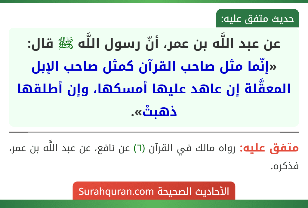 عن عبد اللَّه بن عمر، أنّ رسول اللَّه ﷺ قال: «إنّما مثل صاحب القرآن كمثل صاحب الإبل المعقَّلة إن عاهد عليها أمسكها، وإن أطلقها ذهبتْ».