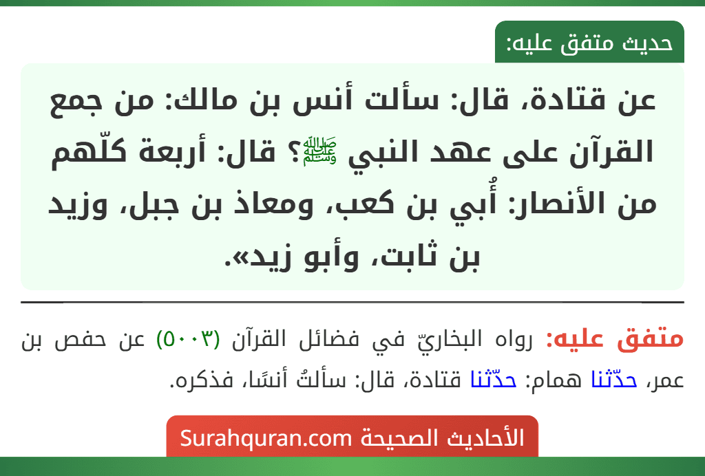عن قتادة، قال: سألت أنس بن مالك: من جمع القرآن على عهد النبي ﷺ؟ قال: أربعة كلّهم من الأنصار: أُبي بن كعب، ومعاذ بن جبل، وزيد بن ثابت، وأبو زيد».