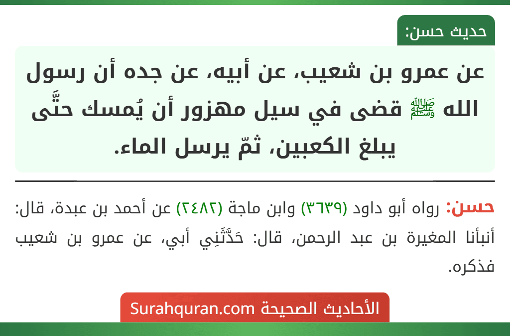 عن عمرو بن شعيب، عن أبيه، عن جده أن رسول الله ﷺ قضى في سيل مهزور أن يُمسك حتَّى يبلغ الكعبين، ثمّ يرسل الماء. عن عمرو بن شعيب، عن أبيه، عن جده أن رسول الله ﷺ قضى في سيل مهزور أن يُمسك حتَّى يبلغ الكعبين، ثمّ يرسل الماء.