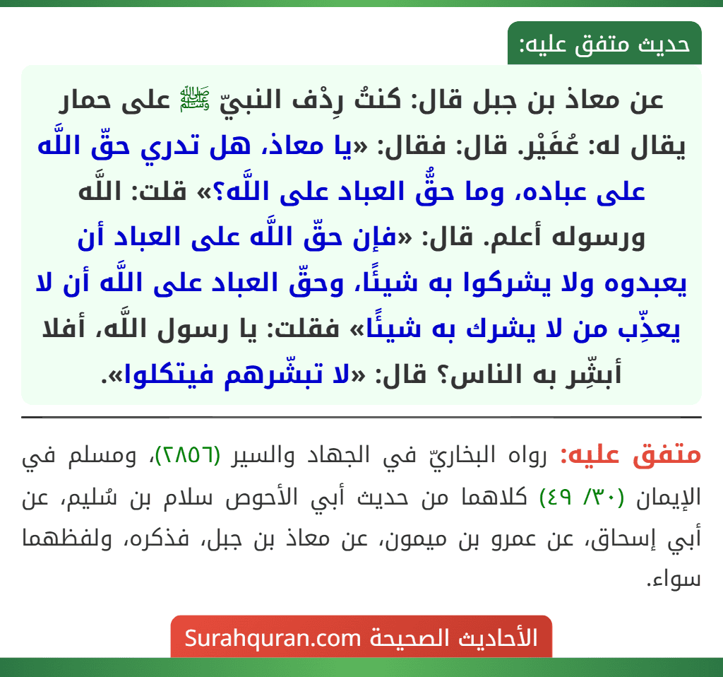 عن معاذ بن جبل قال: كنتُ رِدْف النبيّ ﷺ على حمار يقال له: عُفَيْر. قال: فقال: «يا معاذ، هل تدري حقّ اللَّه على عباده، وما حقُّ العباد على اللَّه؟» قلت: اللَّه ورسوله أعلم. قال: «فإن حقّ اللَّه على العباد أن يعبدوه ولا يشركوا به شيئًا، وحقّ العباد على اللَّه أن لا يعذِّب من لا يشرك به شيئًا» فقلت: يا رسول اللَّه، أفلا أبشِّر به الناس؟ قال: «لا تبشّرهم فيتكلوا».