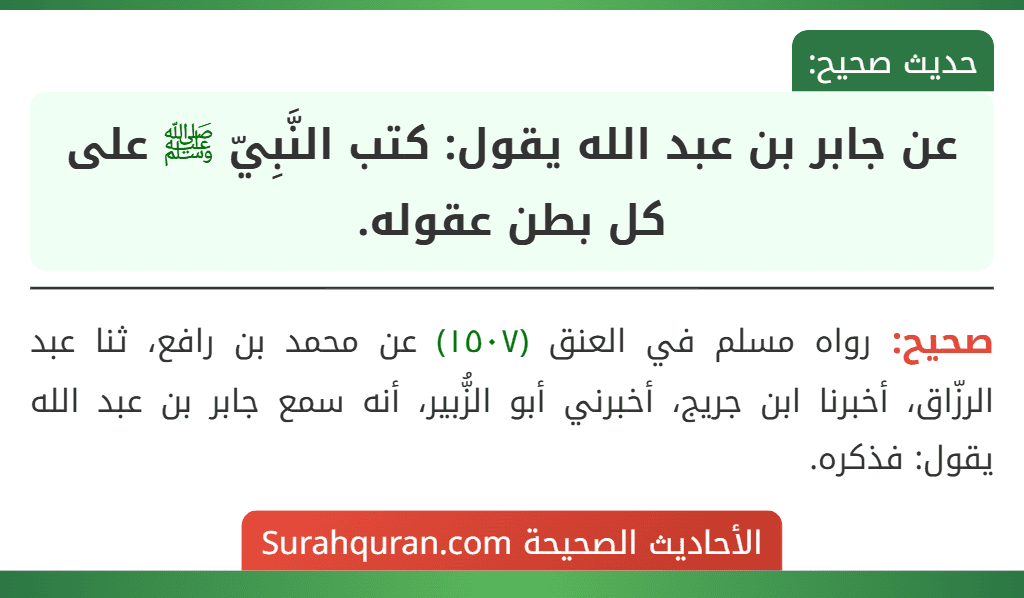 عن جابر بن عبد الله يقول: كتب النَّبِيّ ﷺ على كل بطن عقوله.