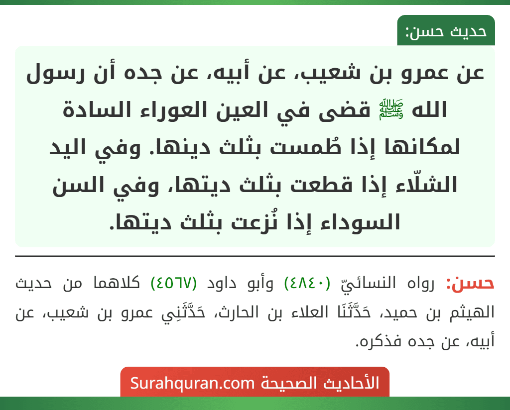 عن عمرو بن شعيب، عن أبيه، عن جده أن رسول الله ﷺ قضى في العين العوراء السادة لمكانها إذا طُمست بثلث دينها. وفي اليد الشلّاء إذا قطعت بثلث ديتها، وفي السن السوداء إذا نُزعت بثلث ديتها. عن عمرو بن شعيب، عن أبيه، عن جده أن رسول الله ﷺ قضى في العين العوراء السادة لمكانها إذا طُمست بثلث دينها. وفي اليد الشلّاء إذا قطعت بثلث ديتها، وفي السن السوداء إذا نُزعت بثلث ديتها.