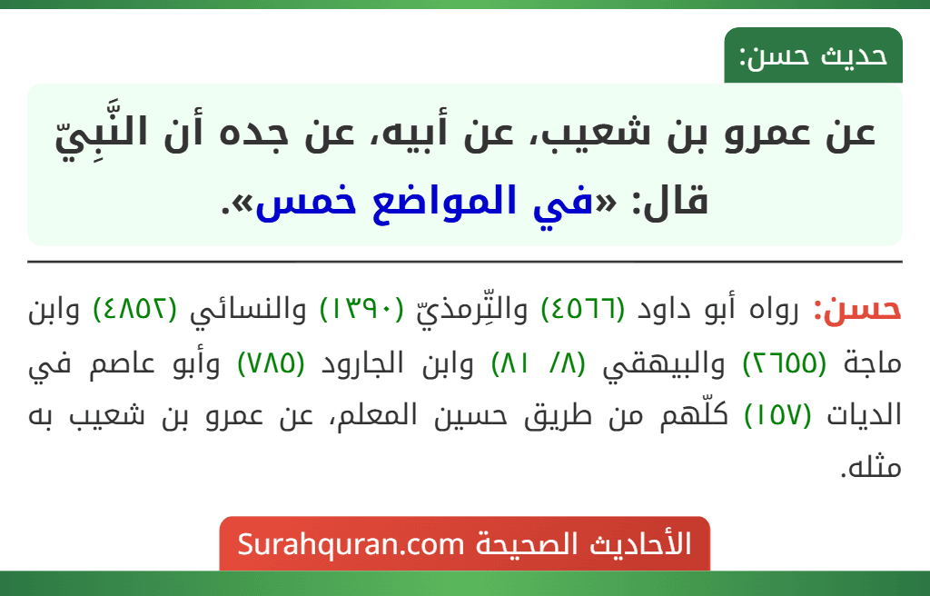 عن عمرو بن شعيب، عن أبيه، عن جده أن النَّبِيّ قال: «في المواضع خمس».