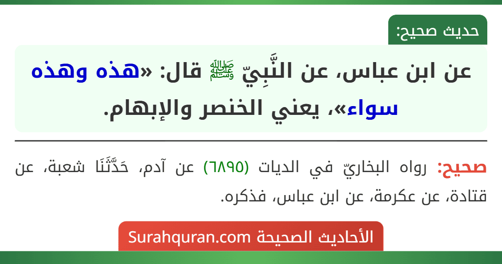 عن ابن عباس، عن النَّبِيّ ﷺ قال: «هذه وهذه سواء»، يعني الخنصر والإبهام.