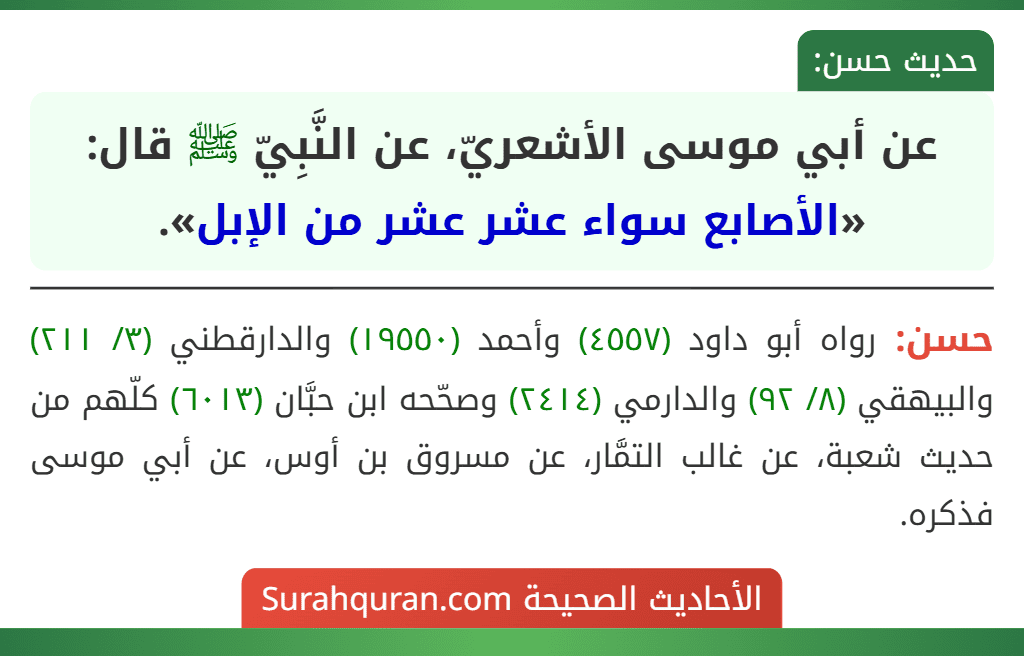 عن أبي موسى الأشعريّ، عن النَّبِيّ ﷺ قال: «الأصابع سواء عشر عشر من الإبل».