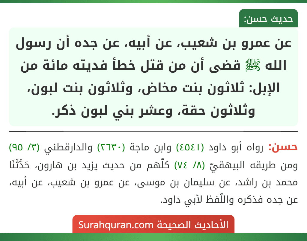 عن عمرو بن شعيب، عن أبيه، عن جده أن رسول الله ﷺ قضى أن من قتل خطأ فديته مائة من الإبل: ثلاثون بنت مخاض، وثلاثون بنت لبون، وثلاثون حقة، وعشر بني لبون ذكر.