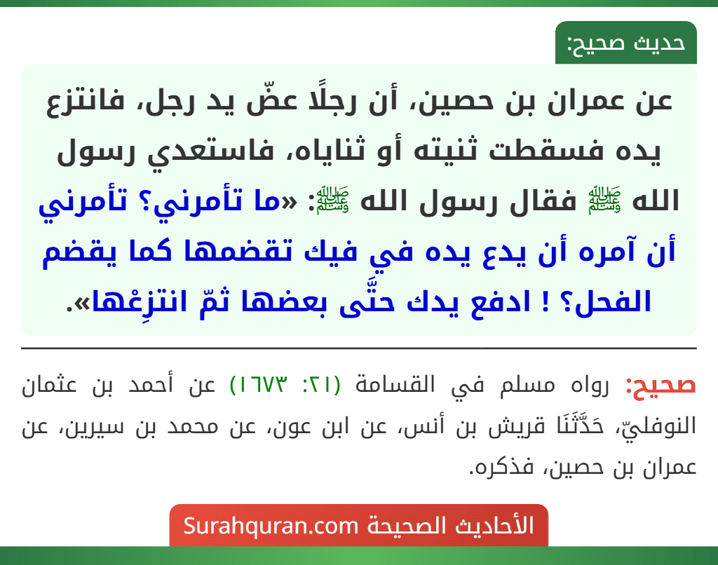 عن عمران بن حصين، أن رجلًا عضّ يد رجل، فانتزع يده فسقطت ثنيته أو ثناياه، فاستعدي رسول الله ﷺ فقال رسول الله ﷺ: «ما تأمرني؟ تأمرني أن آمره أن يدع يده في فيك تقضمها كما يقضم الفحل؟ ! ادفع يدك حتَّى بعضها ثمّ انتزِعْها». عن عمران بن حصين، أن رجلًا عضّ يد رجل، فانتزع يده فسقطت ثنيته أو ثناياه، فاستعدي رسول الله ﷺ فقال رسول الله ﷺ: «ما تأمرني؟ تأمرني أن آمره أن يدع يده في فيك تقضمها كما يقضم الفحل؟ ! ادفع يدك حتَّى بعضها ثمّ انتزِعْها».