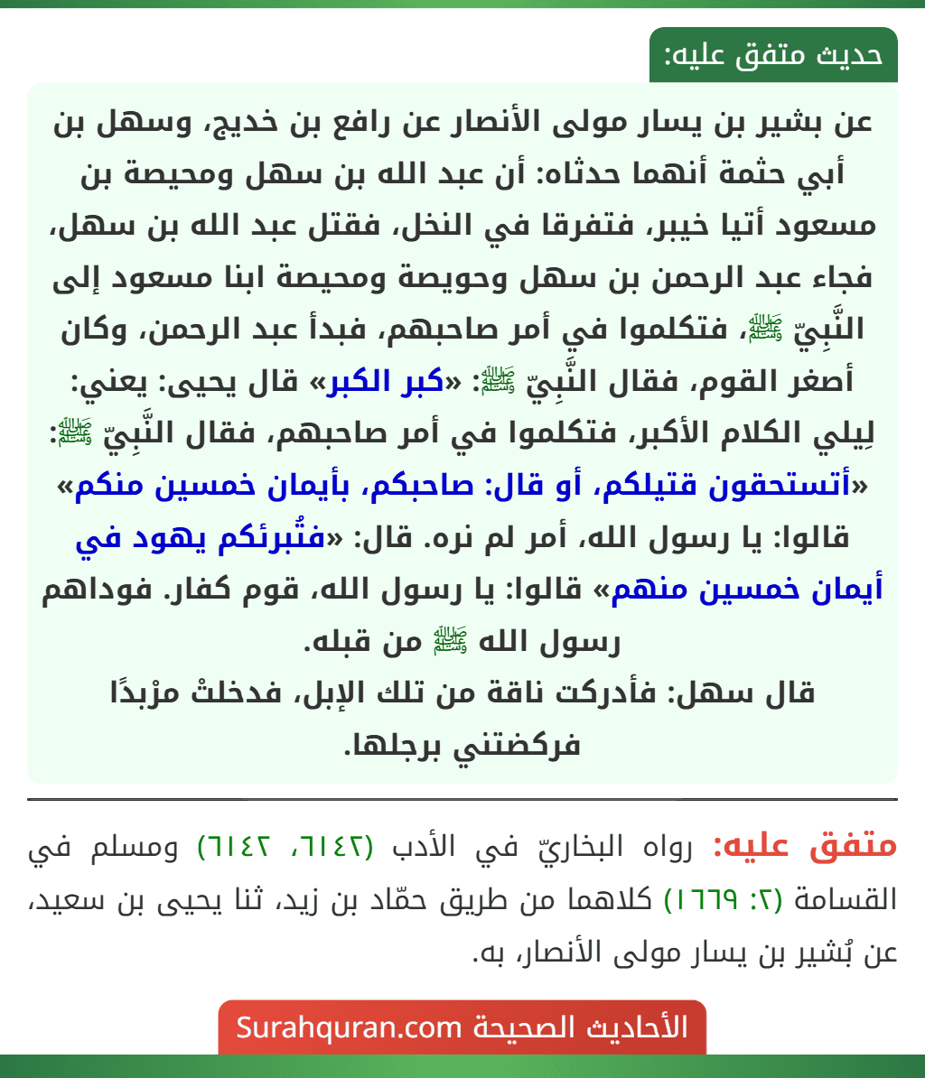 عن بشير بن يسار مولى الأنصار عن رافع بن خديج، وسهل بن أبي حثمة أنهما حدثاه: أن عبد الله بن سهل ومحيصة بن مسعود أتيا خيبر، فتفرقا في النخل، فقتل عبد الله بن سهل، فجاء عبد الرحمن بن سهل وحويصة ومحيصة ابنا مسعود إلى النَّبِيّ ﷺ، فتكلموا في أمر صاحبهم، فبدأ عبد الرحمن، وكان أصغر القوم، فقال النَّبِيّ ﷺ: «كبر الكبر» قال يحيى: يعني: لِيلي الكلام الأكبر، فتكلموا في أمر صاحبهم، فقال النَّبِيّ ﷺ: «أتستحقون قتيلكم، أو قال: صاحبكم، بأيمان خمسين منكم» قالوا: يا رسول الله، أمر لم نره. قال: «فتُبرئكم يهود في أيمان خمسين منهم» قالوا: يا رسول الله، قوم كفار. فوداهم رسول الله ﷺ من قبله.
قال سهل: فأدركت ناقة من تلك الإبل، فدخلتْ مرْبدًا فركضتني برجلها.