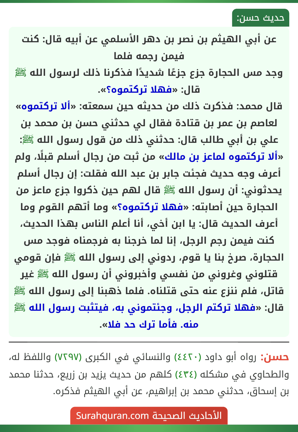 عن أبي الهيثم بن نصر بن دهر الأسلمي عن أبيه قال: كنت فيمن رجمه فلما
وجد مس الحجارة جزع جزعًا شديدًا فذكرنا ذلك لرسول الله ﷺ قال: «فهلا تركتموه؟».
قال محمد: فذكرت ذلك من حديثه حين سمعته: «ألا تركتموه» لعاصم بن عمر بن قتادة فقال لي حدثني حسن بن محمد بن علي بن أبي طالب قال: حدثني ذلك من قول رسول الله ﷺ: «ألا تركتموه لماعز بن مالك» من ثبت من رجال أسلم قبلًا، ولم أعرف وجه حديث فجئت جابر بن عبد الله فقلت: إن رجال أسلم يحدثوني: أن رسول الله ﷺ قال لهم حين ذكروا جزع ماعز من الحجارة حين أصابته: «فهلا تركتموه؟» وما أتهم القوم وما أعرف الحديث قال: يا ابن أخي، أنا أعلم الناس بهذا الحديث، كنت فيمن رجم الرجل، إنا لما خرجنا به فرجمناه فوجد مس الحجارة، صرخ بنا يا قوم، ردوني إلى رسول الله ﷺ فإن قومي قتلوني وغروني من نفسي وأخبروني أن رسول الله ﷺ غير قاتل، فلم ننزع عنه حتى قتلناه. فلما ذهبنا إلى رسول الله ﷺ قال: «فهلا تركتم الرجل، وجئتموني به، فيتثبت رسول الله ﷺ منه. فأما ترك حد فلا».