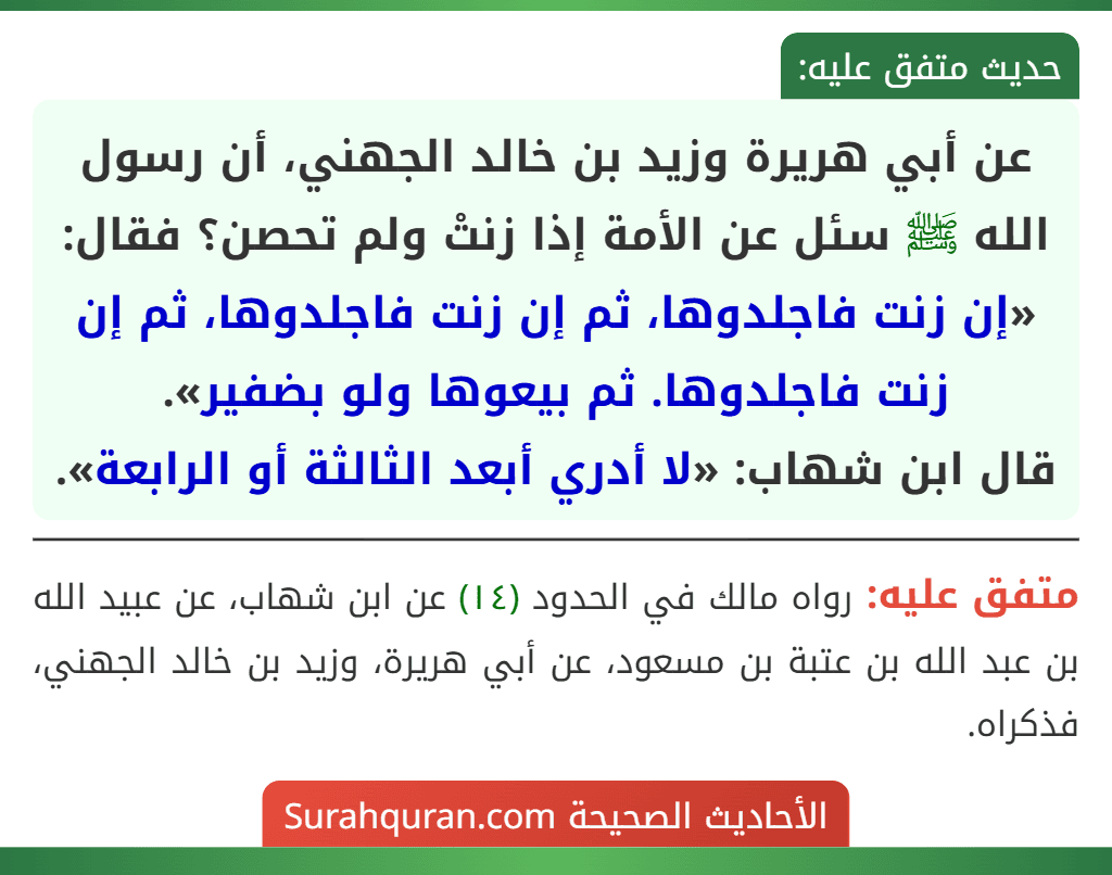 عن أبي هريرة وزيد بن خالد الجهني، أن رسول الله ﷺ سئل عن الأمة إذا زنتْ ولم تحصن؟ فقال: «إن زنت فاجلدوها، ثم إن زنت فاجلدوها، ثم إن زنت فاجلدوها. ثم بيعوها ولو بضفير».
قال ابن شهاب: «لا أدري أبعد الثالثة أو الرابعة».
