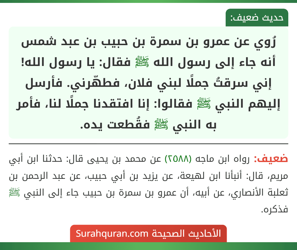 رُوي عن عمرو بن سمرة بن حبيب بن عبد شمس أنه جاء إلى رسول الله ﷺ فقال: يا رسول الله! إني سرقتُ جملًا لبني فلان، فطهّرني. فأرسل إليهم النبي ﷺ فقالوا: إنا افتقدنا جملًا لنا، فأمر به النبي ﷺ فقُطعت يده.