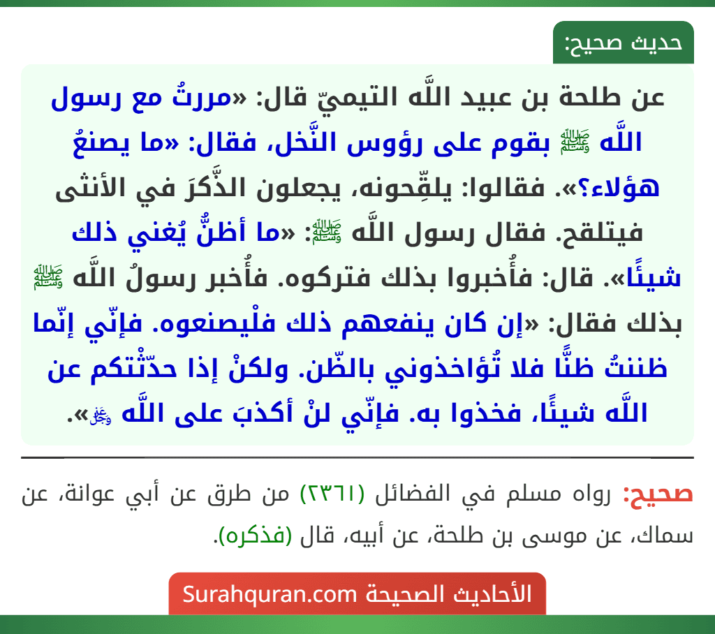 عن طلحة بن عبيد اللَّه التيميّ قال: «مررتُ مع رسول اللَّه ﷺ بقوم على رؤوس النَّخل، فقال: «ما يصنعُ هؤلاء؟». فقالوا: يلقِّحونه، يجعلون الذَّكرَ في الأنثى فيتلقح. فقال رسول اللَّه ﷺ: «ما أظنُّ يُغني ذلك شيئًا». قال: فأُخبروا بذلك فتركوه. فأُخبر رسولُ اللَّه ﷺ بذلك فقال: «إن كان ينفعهم ذلك فلْيصنعوه. فإنّي إنّما ظننتُ ظنًّا فلا تُؤاخذوني بالظّن. ولكنْ إذا حدّثْتكم عن اللَّه شيئًا، فخذوا به. فإنّي لنْ أكذبَ على اللَّه ﷿». عن طلحة بن عبيد اللَّه التيميّ قال: «مررتُ مع رسول اللَّه ﷺ بقوم على رؤوس النَّخل، فقال: «ما يصنعُ هؤلاء؟». فقالوا: يلقِّحونه، يجعلون الذَّكرَ في الأنثى فيتلقح. فقال رسول اللَّه ﷺ: «ما أظنُّ يُغني ذلك شيئًا». قال: فأُخبروا بذلك فتركوه. فأُخبر رسولُ اللَّه ﷺ بذلك فقال: «إن كان ينفعهم ذلك فلْيصنعوه. فإنّي إنّما ظننتُ ظنًّا فلا تُؤاخذوني بالظّن. ولكنْ إذا حدّثْتكم عن اللَّه شيئًا، فخذوا به. فإنّي لنْ أكذبَ على اللَّه ﷿».