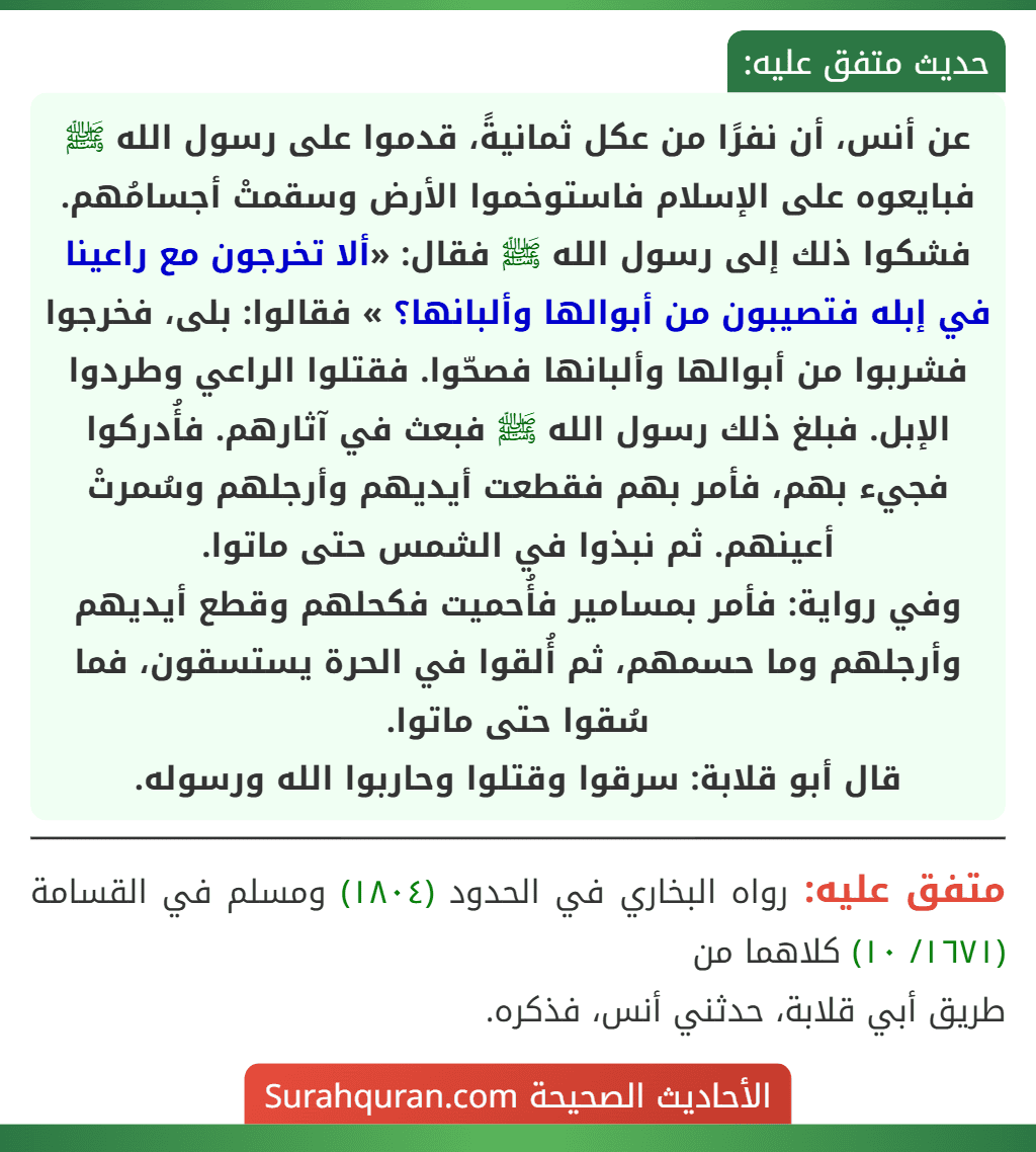 عن أنس، أن نفرًا من عكل ثمانيةً، قدموا على رسول الله ﷺ فبايعوه على الإسلام فاستوخموا الأرض وسقمتْ أجسامُهم. فشكوا ذلك إلى رسول الله ﷺ فقال: «ألا تخرجون مع راعينا في إبله فتصيبون من أبوالها وألبانها؟ » فقالوا: بلى، فخرجوا فشربوا من أبوالها وألبانها فصحّوا. فقتلوا الراعي وطردوا الإبل. فبلغ ذلك رسول الله ﷺ فبعث في آثارهم. فأُدركوا فجيء بهم، فأمر بهم فقطعت أيديهم وأرجلهم وسُمرتْ أعينهم. ثم نبذوا في الشمس حتى ماتوا.
وفي رواية: فأمر بمسامير فأُحميت فكحلهم وقطع أيديهم وأرجلهم وما حسمهم، ثم أُلقوا في الحرة يستسقون، فما سُقوا حتى ماتوا.
قال أبو قلابة: سرقوا وقتلوا وحاربوا الله ورسوله.