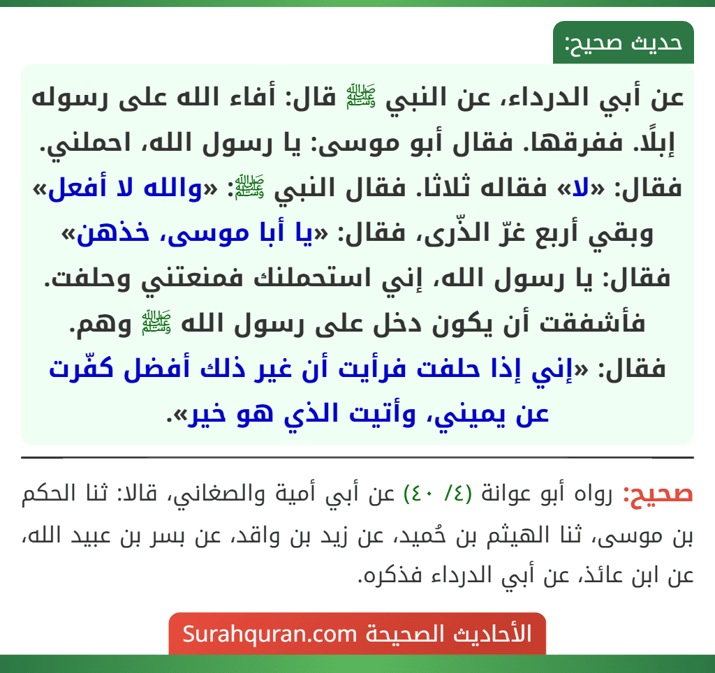 عن أبي الدرداء، عن النبي ﷺ قال: أفاء الله على رسوله إبلًا. ففرقها. فقال أبو موسى: يا رسول الله، احملني. فقال: «لا» فقاله ثلاثا. فقال النبي ﷺ: «والله لا أفعل» وبقي أربع غرّ الذّرى، فقال: «يا أبا موسى، خذهن» فقال: يا رسول الله، إني استحملنك فمنعتني وحلفت. فأشفقت أن يكون دخل على رسول الله ﷺ وهم. فقال: «إني إذا حلفت فرأيت أن غير ذلك أفضل كفّرت عن يميني، وأتيت الذي هو خير». عن أبي الدرداء، عن النبي ﷺ قال: أفاء الله على رسوله إبلًا. ففرقها. فقال أبو موسى: يا رسول الله، احملني. فقال: «لا» فقاله ثلاثا. فقال النبي ﷺ: «والله لا أفعل» وبقي أربع غرّ الذّرى، فقال: «يا أبا موسى، خذهن» فقال: يا رسول الله، إني استحملنك فمنعتني وحلفت. فأشفقت أن يكون دخل على رسول الله ﷺ وهم. فقال: «إني إذا حلفت فرأيت أن غير ذلك أفضل كفّرت عن يميني، وأتيت الذي هو خير».