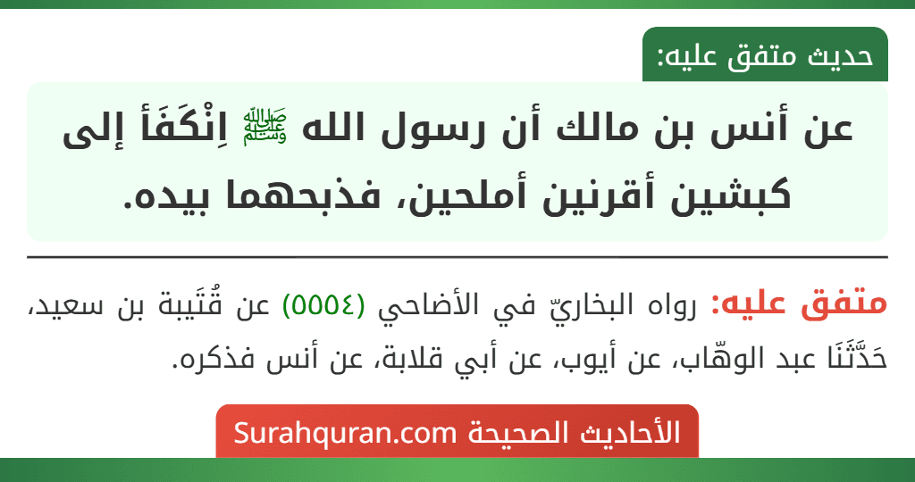عن أنس بن مالك أن رسول الله ﷺ اِنْكَفَأ إلى كبشين أقرنين أملحين، فذبحهما بيده.