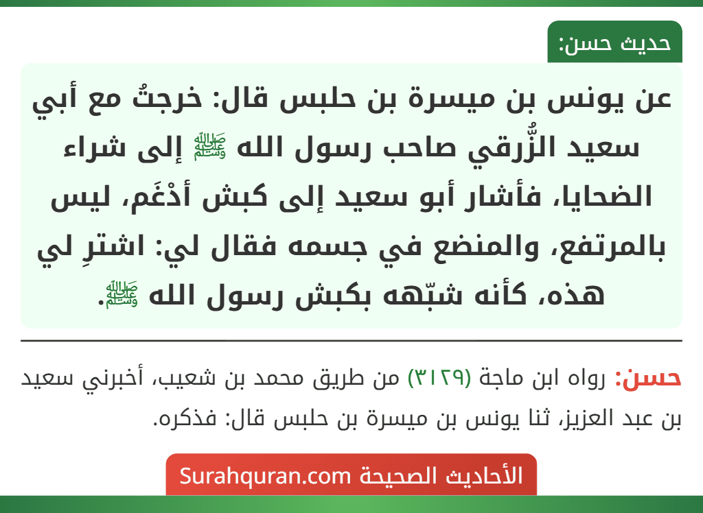 عن يونس بن ميسرة بن حلبس قال: خرجتُ مع أبي سعيد الزُّرقي صاحب رسول الله ﷺ إلى شراء الضحايا، فأشار أبو سعيد إلى كبش أدْغَم، ليس بالمرتفع، والمنضع في جسمه فقال لي: اشترِ لي هذه، كأنه شبّهه بكبش رسول الله ﷺ.